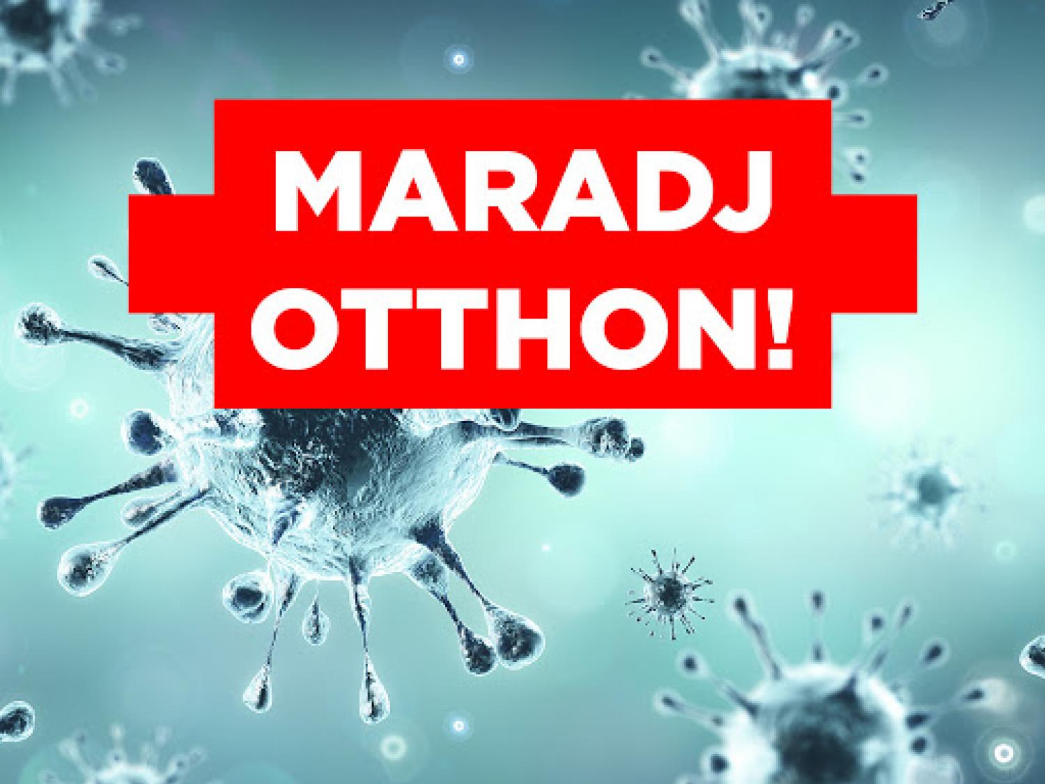 Maradj otthon!