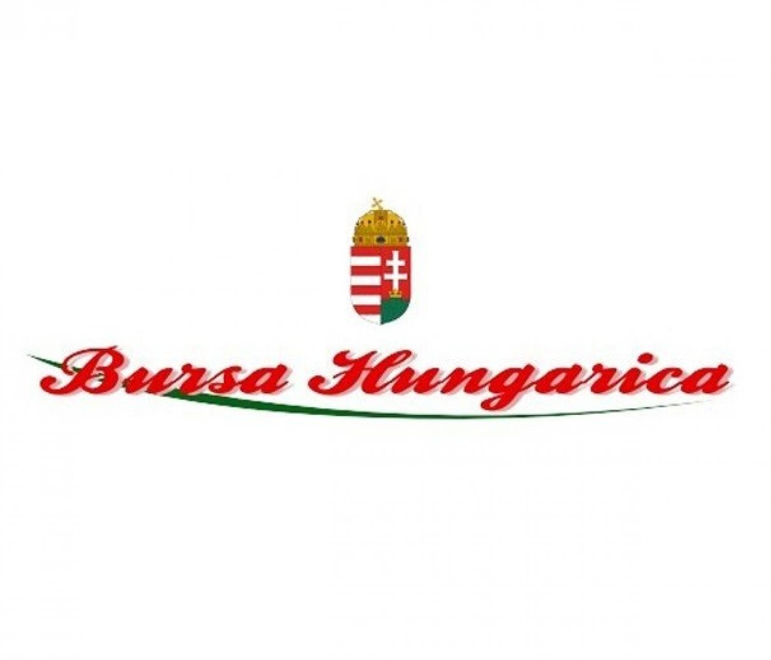 Bursa Hungarica Felsőoktatási Önkormányzati Ösztöndíjpályázat 2020