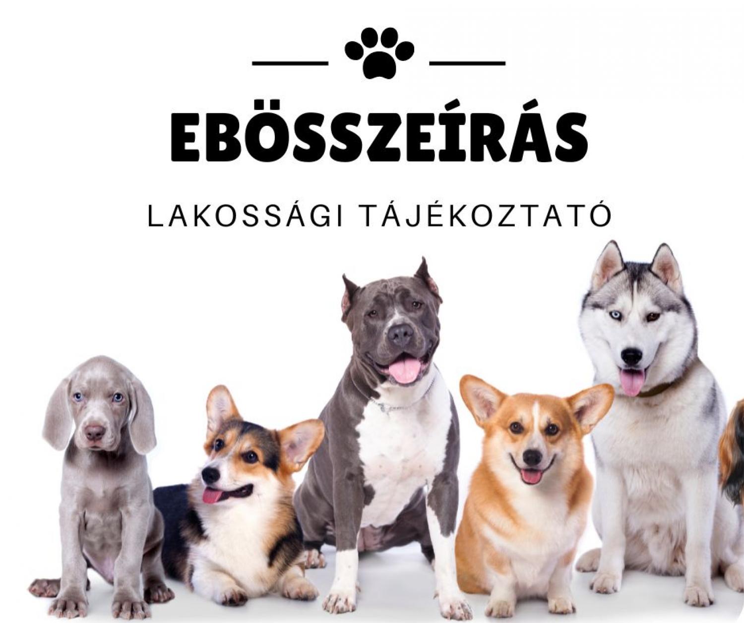 Ebösszeírás 2024