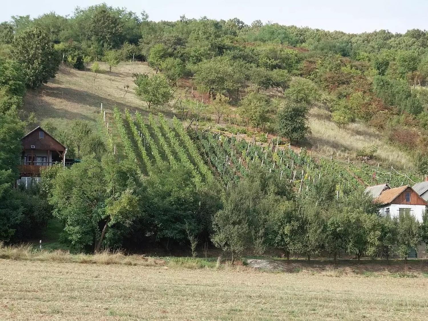 Zártkerti ingatlanok művelés alóli kivonása