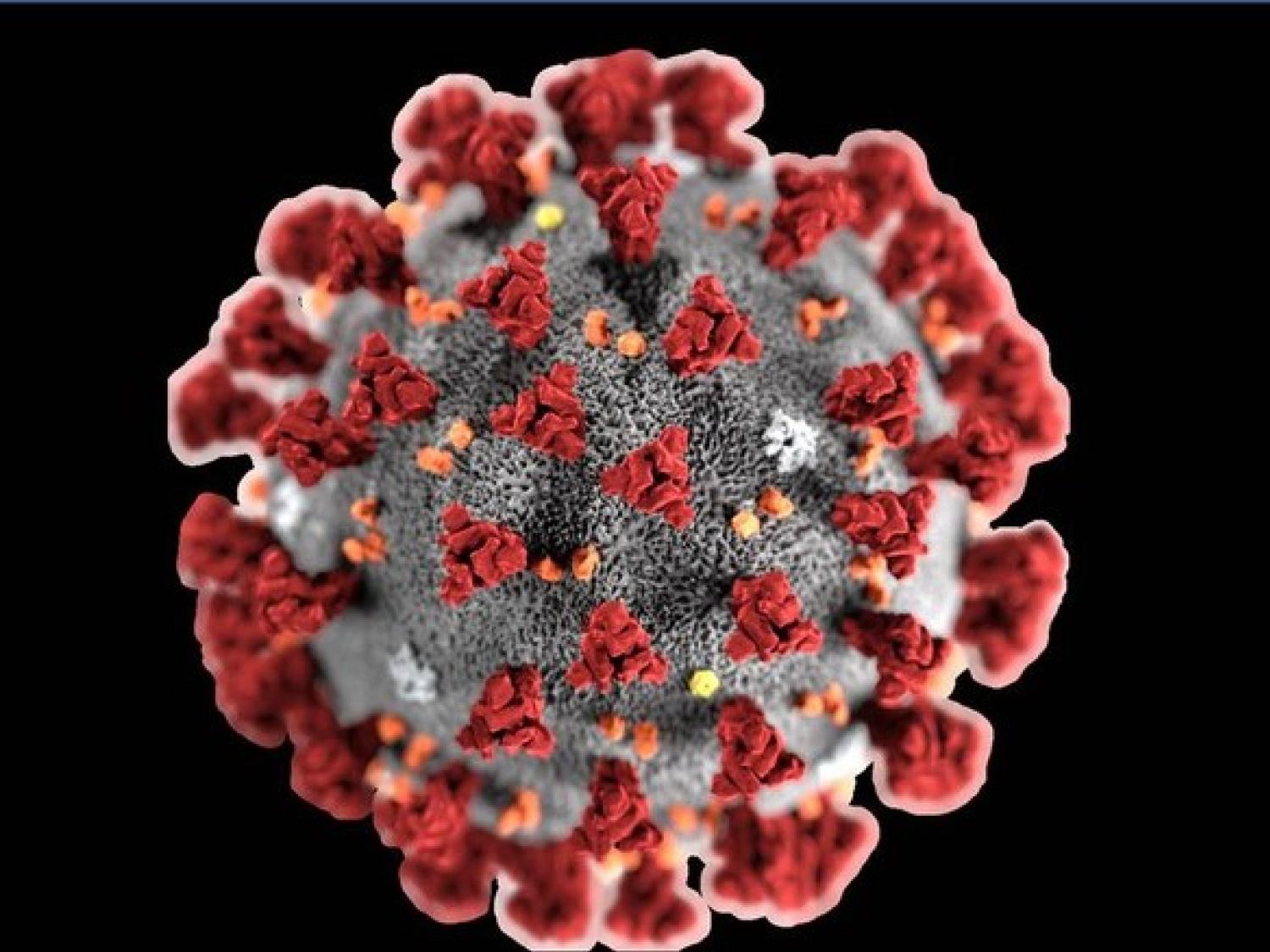 Amit a koronavírusaról tudni kell